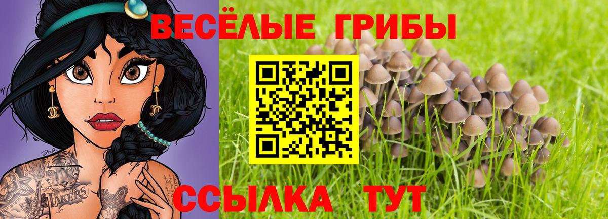 Псилоцибиновые грибы ЛСД  Вход с VPN  Галлюциногенные грибы ЛСД  Семилуки 